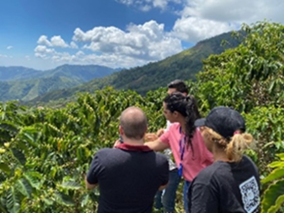 Marketing y promoción de turismo experiencial de café del departamento del Cesar.